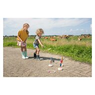 BS Toys Ringwerpen Vogels Hout  - Werpspel