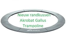 Randkussen Akrobat Gallus Flat 305