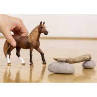 Schleich 13953 Horse Club Paso Peruano Merrie