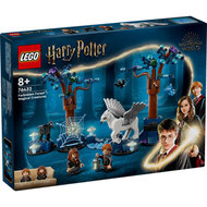 LEGO 76432 Harry Potter Verboden Bos: Magische  Wezens