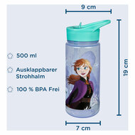 Areo Drinkfles Frozen, 500ml