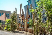 Robinia stelten voor openbaar gebruik