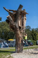 Robinia Boomhut voor openbaar gebruik 300cm x 300cm