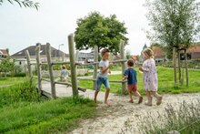 Robinia Parkbrug voor openbaar gebruik 