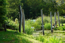 Robinia Touwstructuur voor openbaar gebruik 1200cm x 270cm