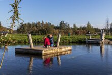 Robinia Trekvlot voor openbaar gebruik 