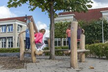 Robinia Zitplek om boom voor openbaar gebruik 350cm x 550cm