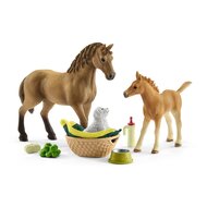 schleich HORSE CLUB Babydieren Verzorgingsset 42432