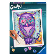 CreArt Schilderen op Nummer - Dreaming Owl