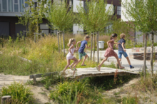 Robinia Brug voor openbaar gebruik 