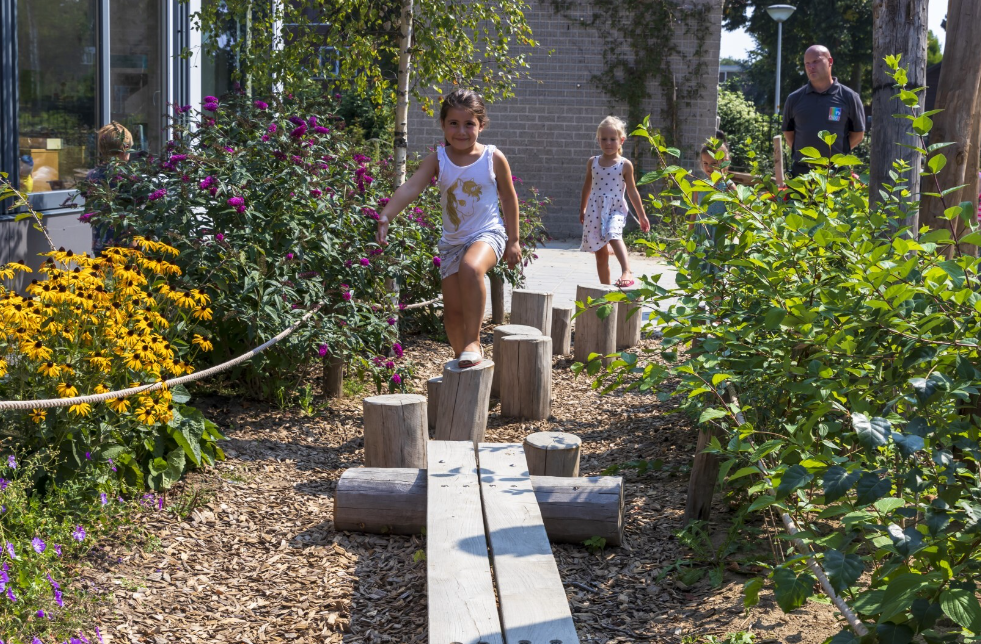 Robinia Balanceerstructuur voor openbaar gebruik 1600cm x 250cm