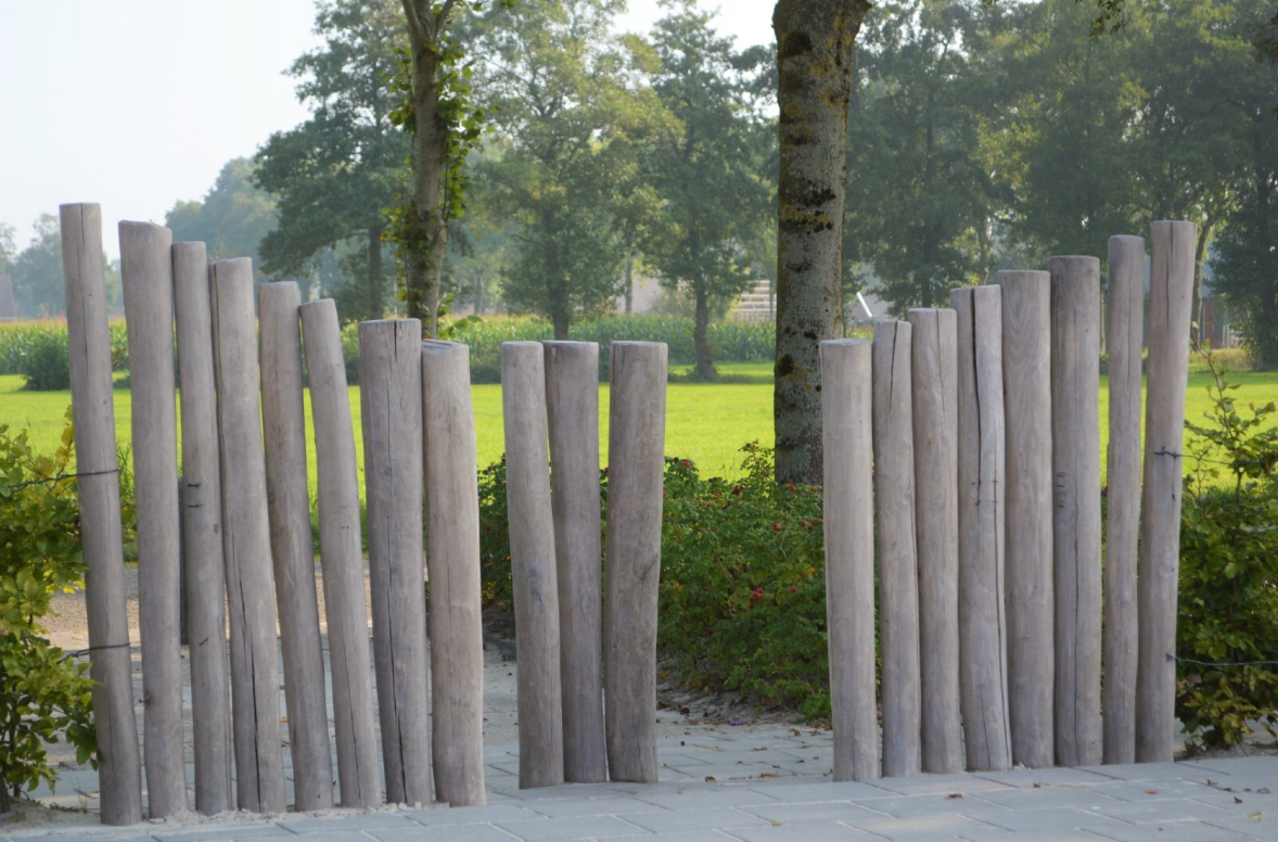 Robinia Toegangssluis voor openbaar gebruik 