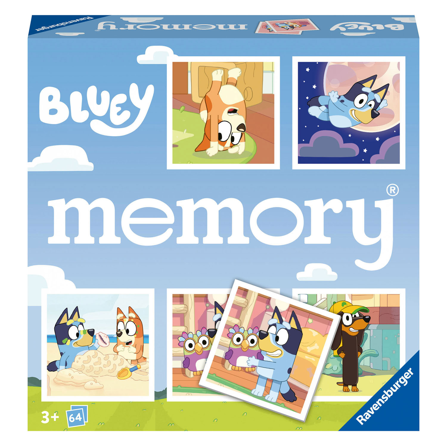 Memory Bluey