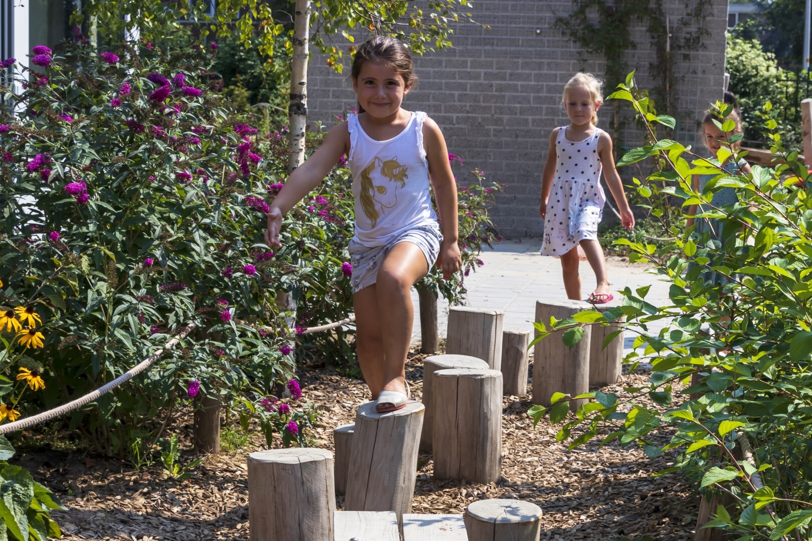 Robinia stapstammen voor openbaar gebruik