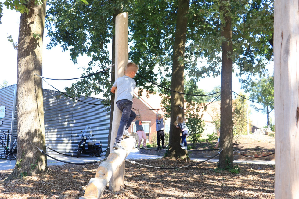 Robinia Speelstructuur voor openbaar gebruik 