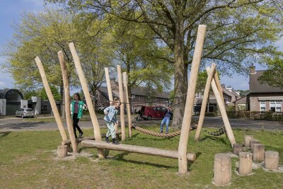 Robinia Balanceerstructuur voor openbaar gebruik 670 cm x 630cm