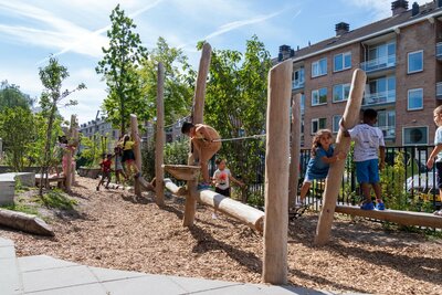 Robinia Balanceerstructuur voor openbaar gebruik 1500cm x 370cm