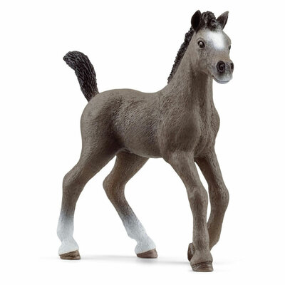 schleich HORSE CLUB Selle Francais Veulen 13957