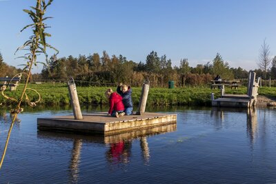 Robinia Trekvlot voor openbaar gebruik