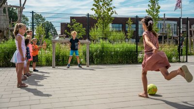 Robinia Minidoel voor openbaar gebruik