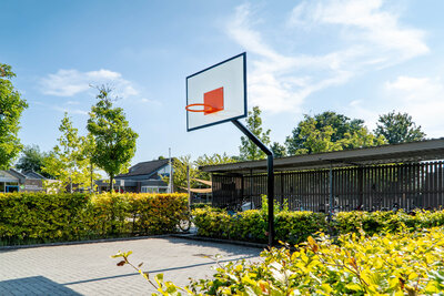 Robinia Basketbalpaal voor openbaar gebruik