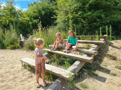 Robinia Tribune voor openbaar gebruik