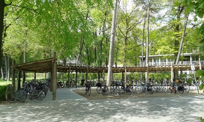 Robinia Fietsstalling Wild Robinia voor openbaar gebruik