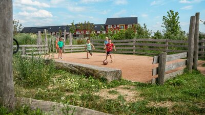 Robinia Pannaveld voor openbaar gebruik